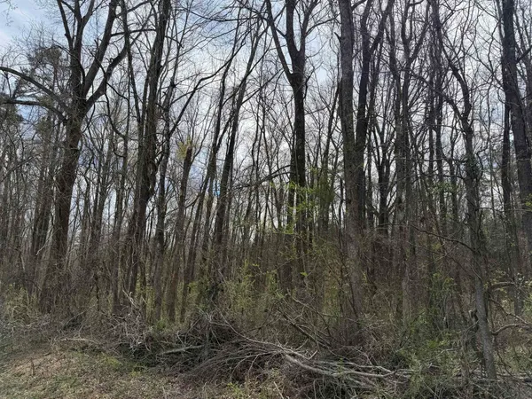 $29,900 | 1 69th Highway, Savannah, TN 38372