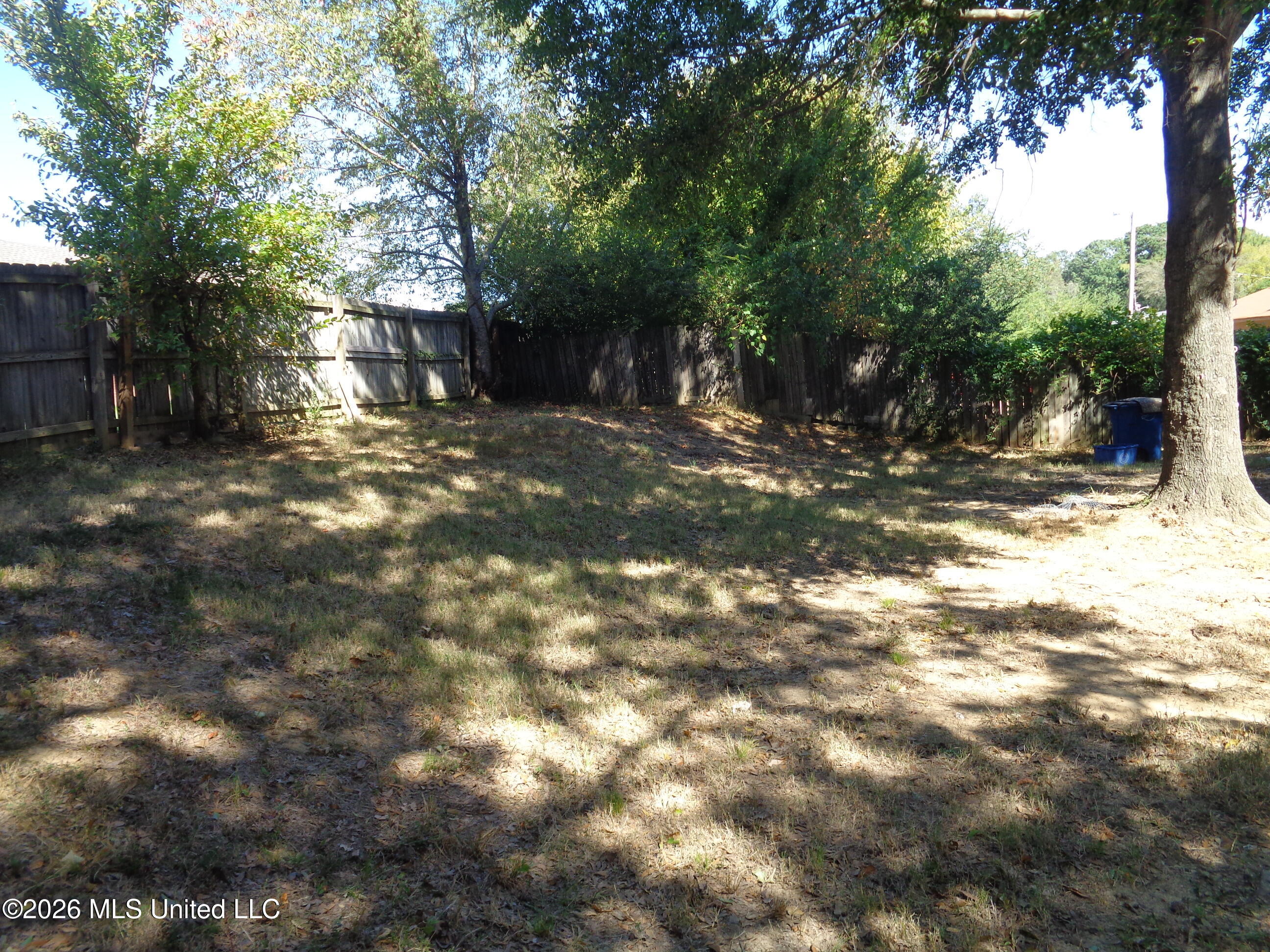 6041 Blocker Street Olive Branch, MS 38654 - Photo 12 of 12 DSC05349