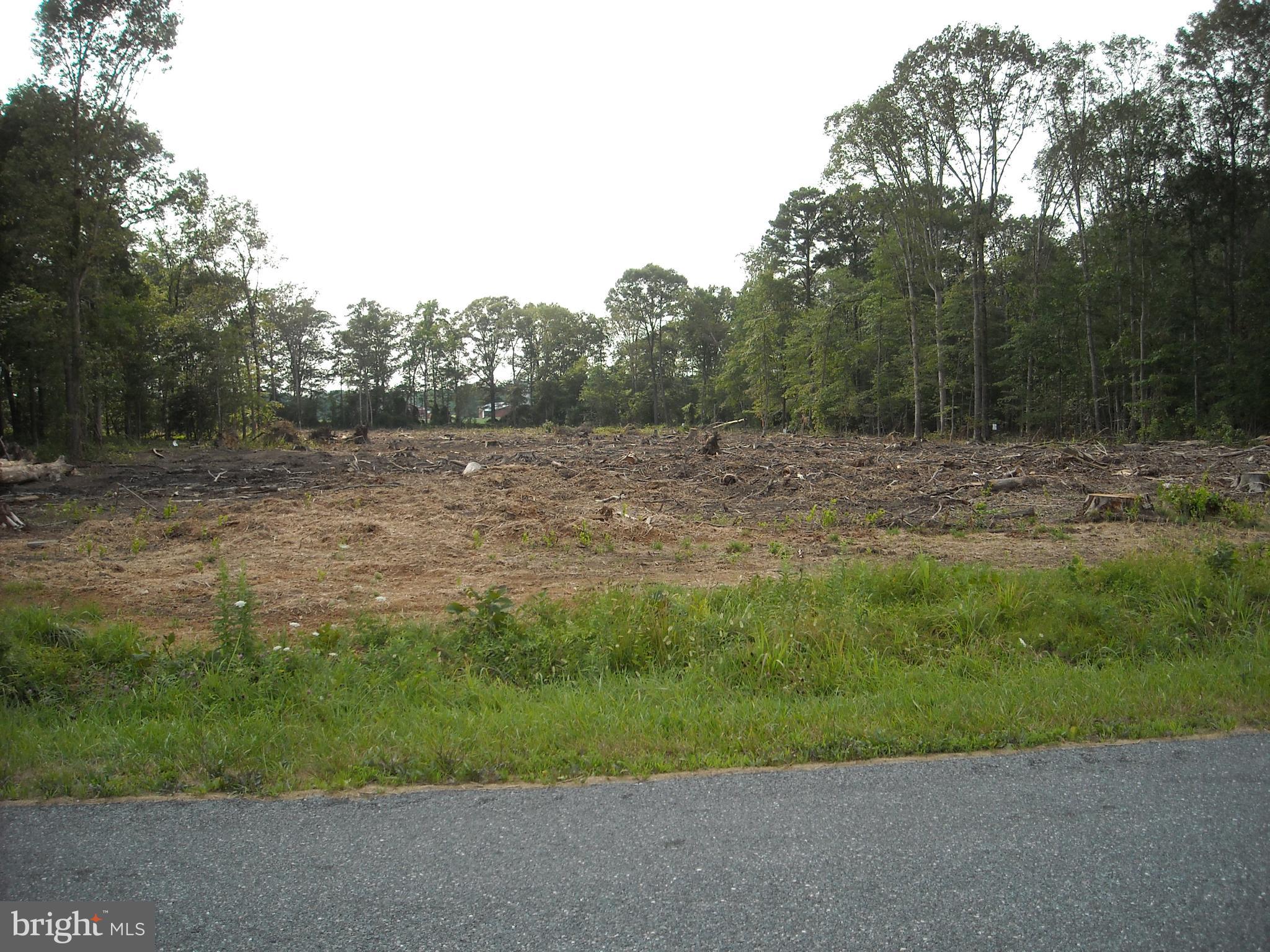 0 Log Cabin Road Denton, MD 21629 - Photo 1 of 3 Gallery Image 1