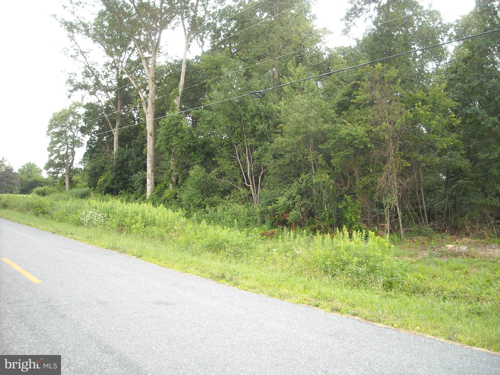 0 Log Cabin Road Denton, MD 21629 - Photo 2 of 3 Gallery Image 2