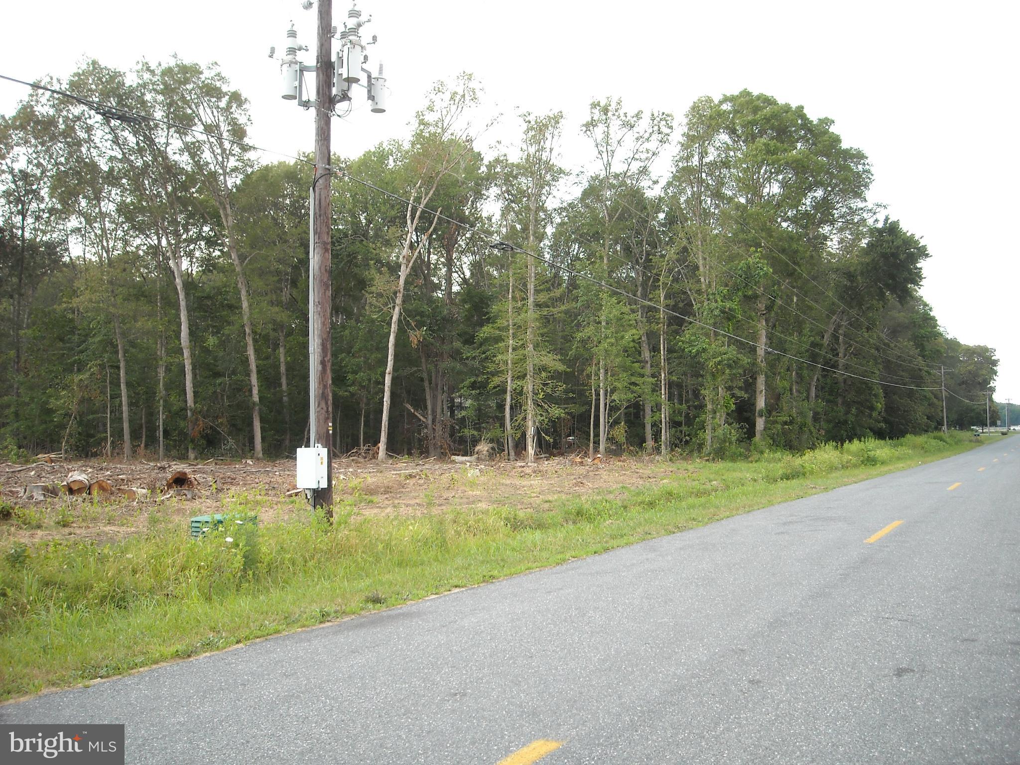 0 Log Cabin Road Denton, MD 21629 - Photo 3 of 3 Gallery Image 3
