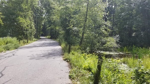 Xo Brook Road Scotland, CT 06247 - Photo 11 of 13 Gallery Image 11