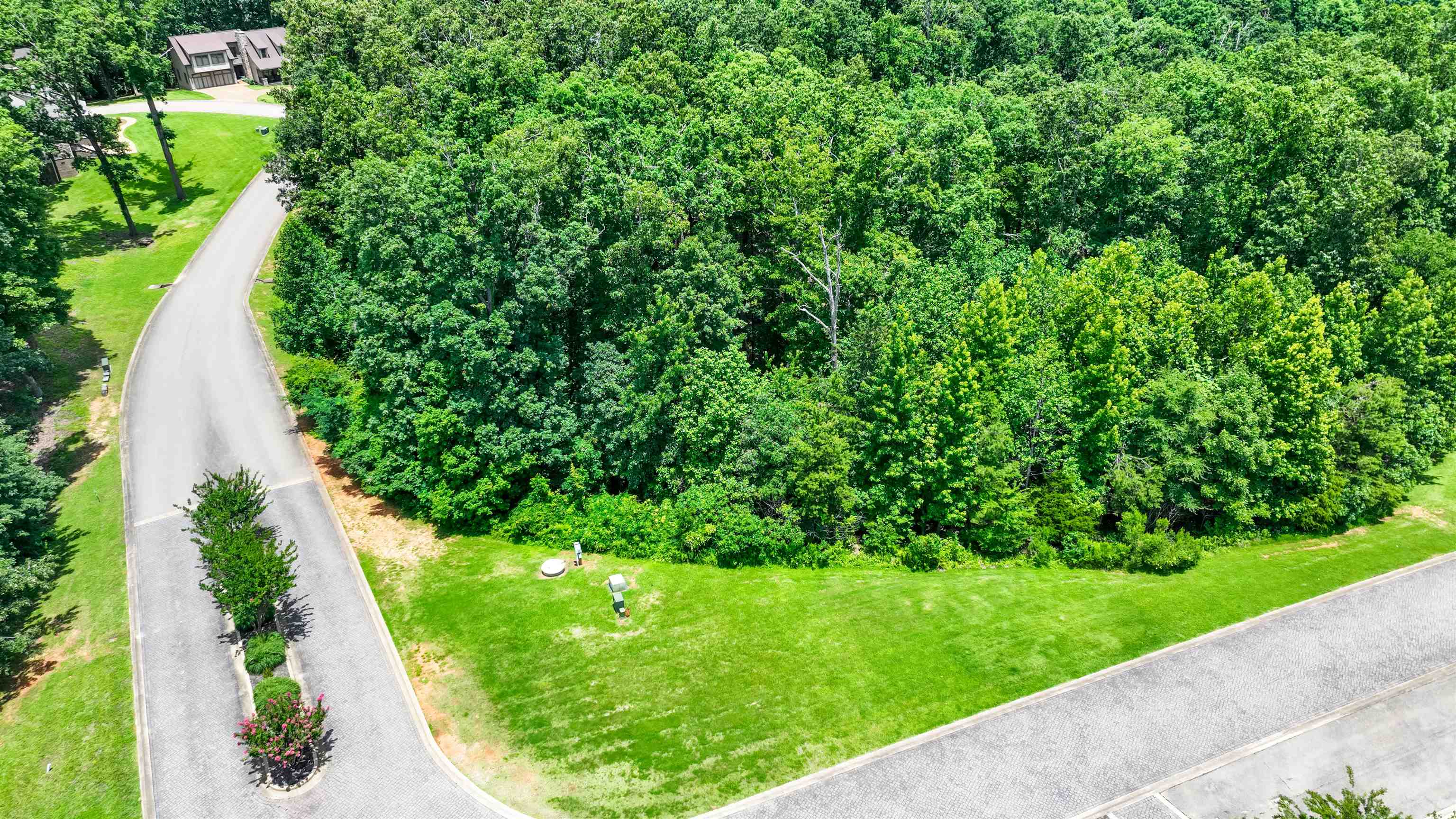 59 Breathtaking Loop Savannah, TN 38372 - Photo 3 of 34