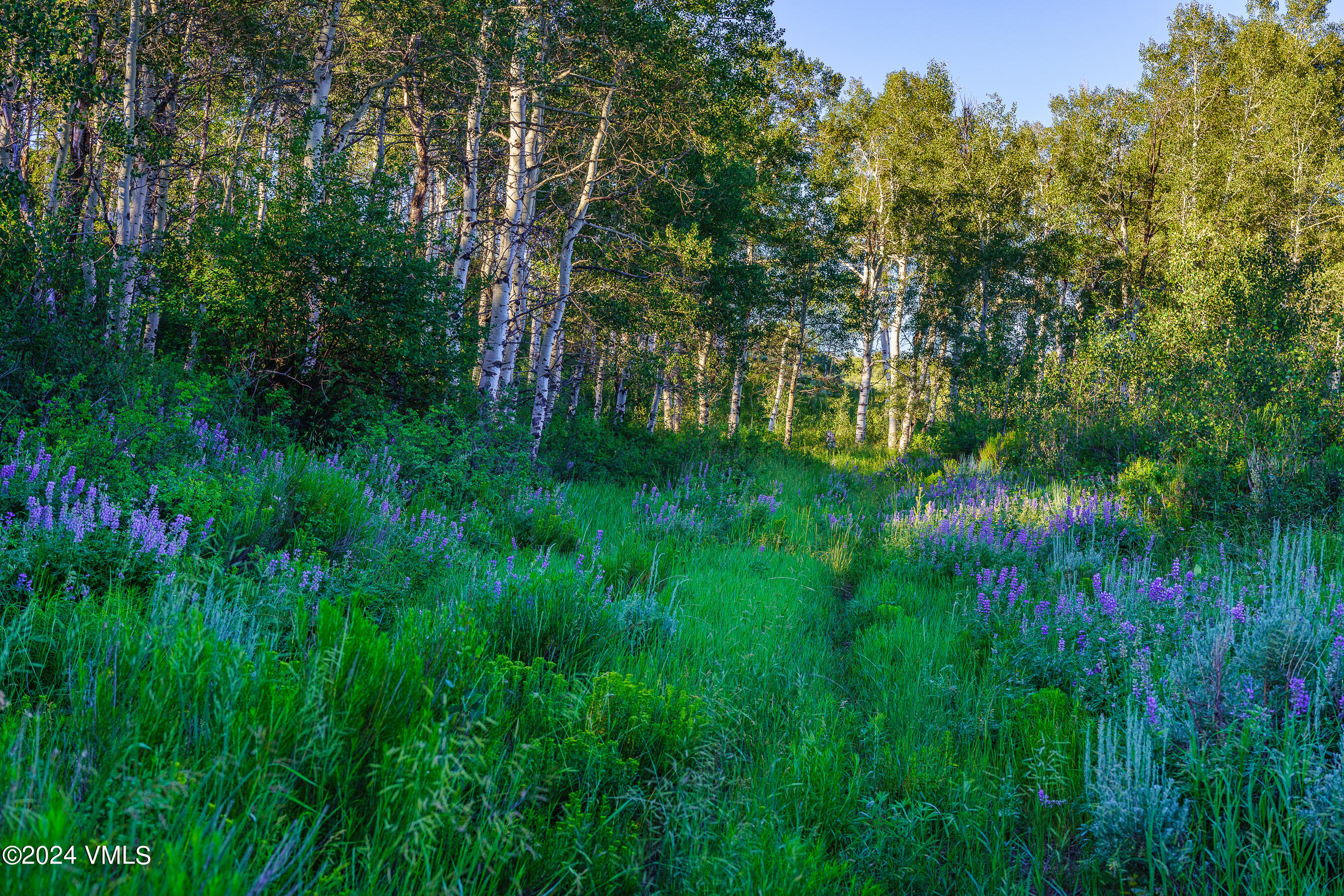 200 Diamond Star Road Wolcott, CO 81655 - Photo 11 of 48 Diamond_Star_Ranch_018