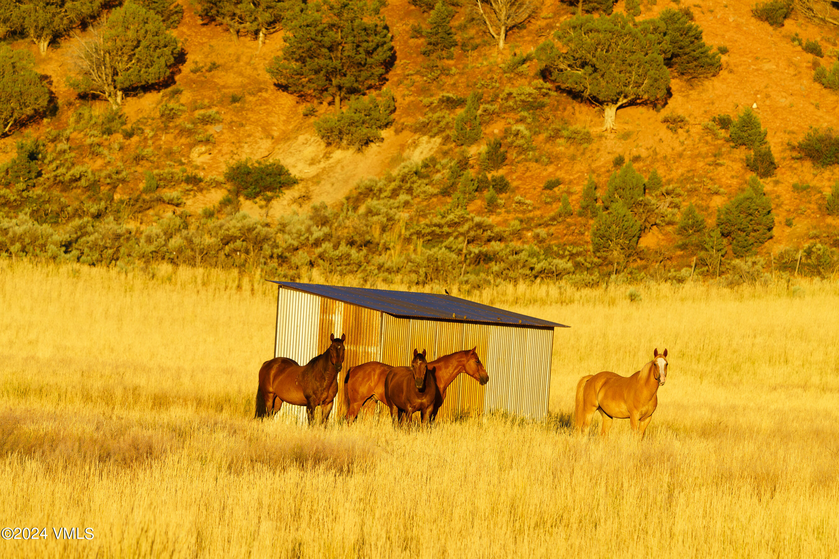 200 Diamond Star Road Wolcott, CO 81655 - Photo 31 of 48 Diamond_Star_Ranch_126