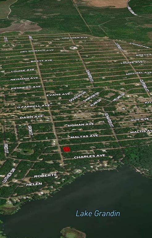 2 Marion Avenue Interlachen, FL 32148 - Photo 5 of 6