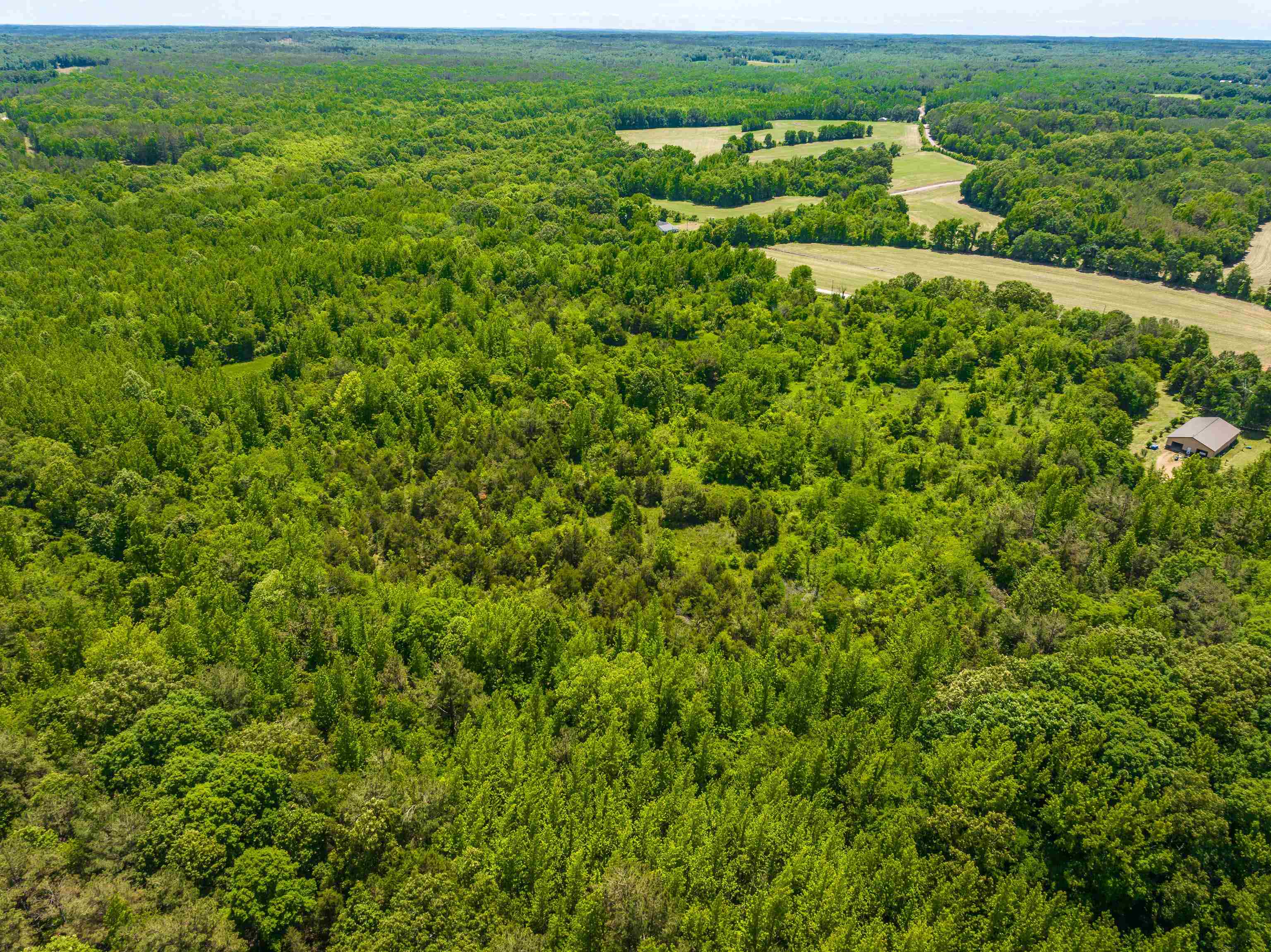 2340 Center Hill Road Finger, TN 38334 - Photo 14 of 21 an aerial view of residential houses with outdoor space and trees