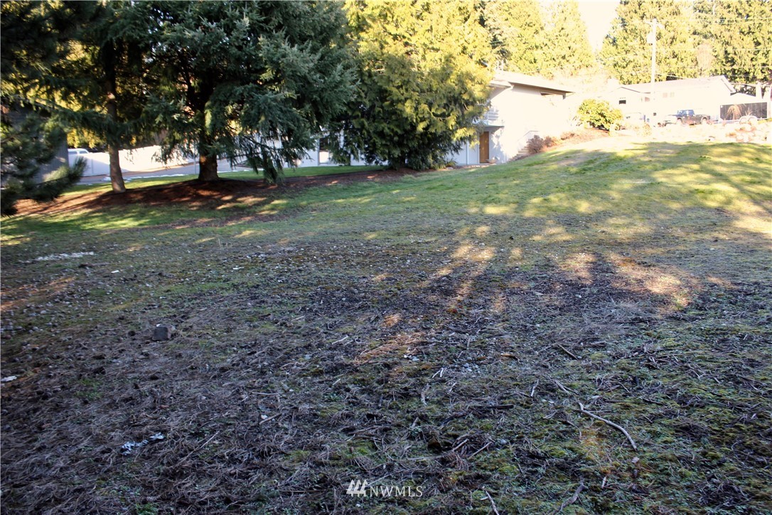 0 7th Place West Bothell, WA 98021 - Photo 3 of 12 a view of a tree in the middle of a yard