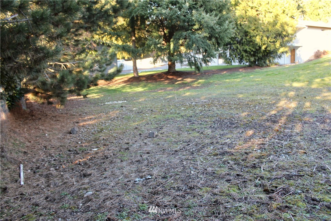 0 7th Place West Bothell, WA 98021 - Photo 4 of 12 a view of yard with trees