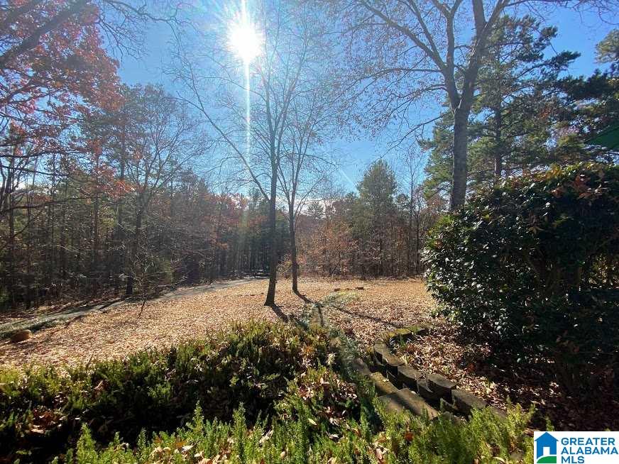 817 Cottaquilla Road Jacksonville, AL 36265 - Photo 34 of 36