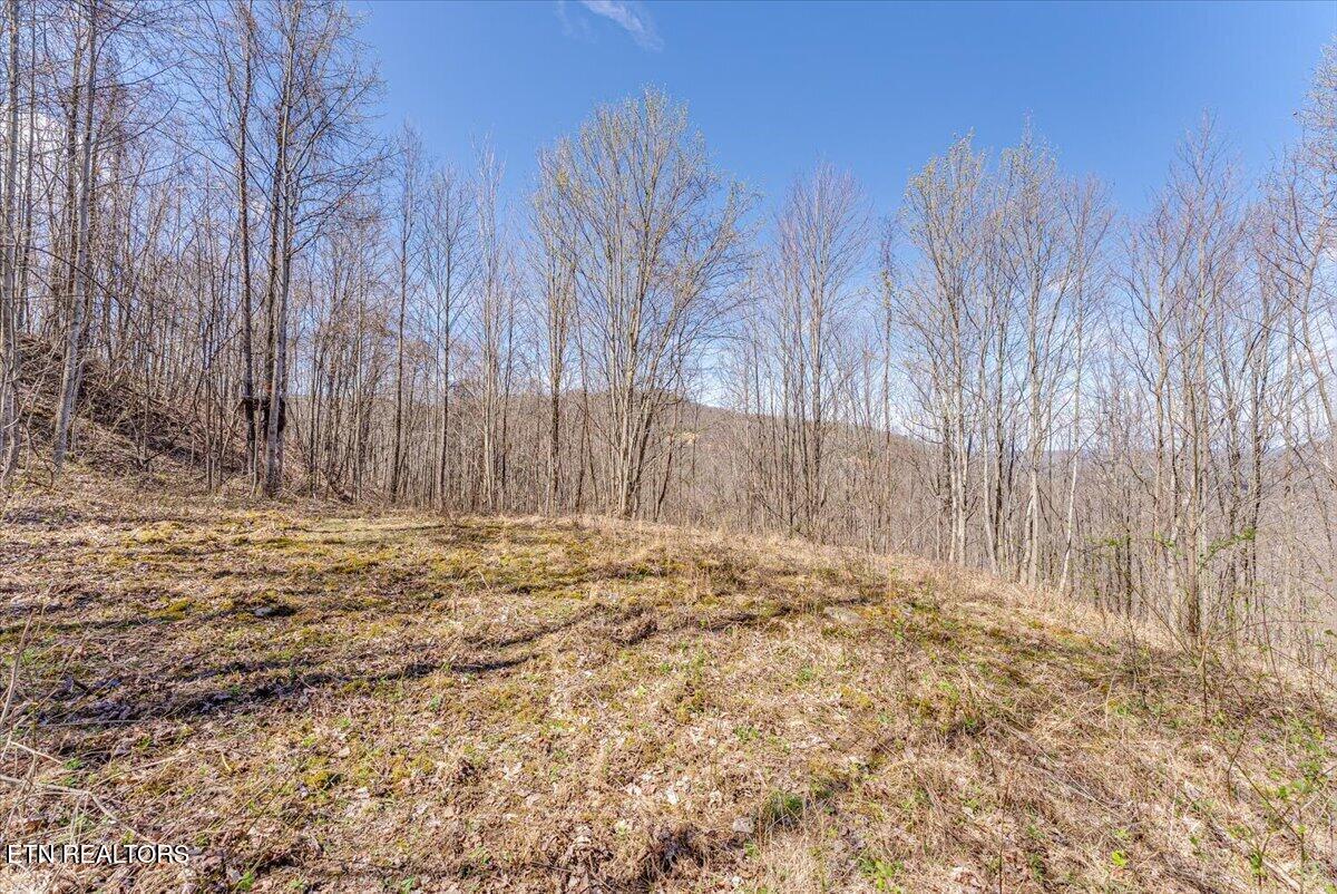 422 Crooked Branch Road Huntsville, TN 37756 - Photo 29 of 35 39-2nd Clearing A3