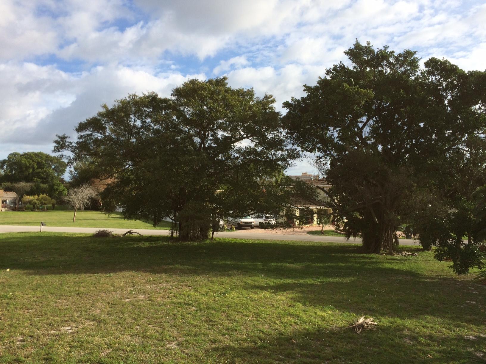 1510 Glen Road Glen Ridge, FL 33406 - Photo 14 of 24 12 Front Yard