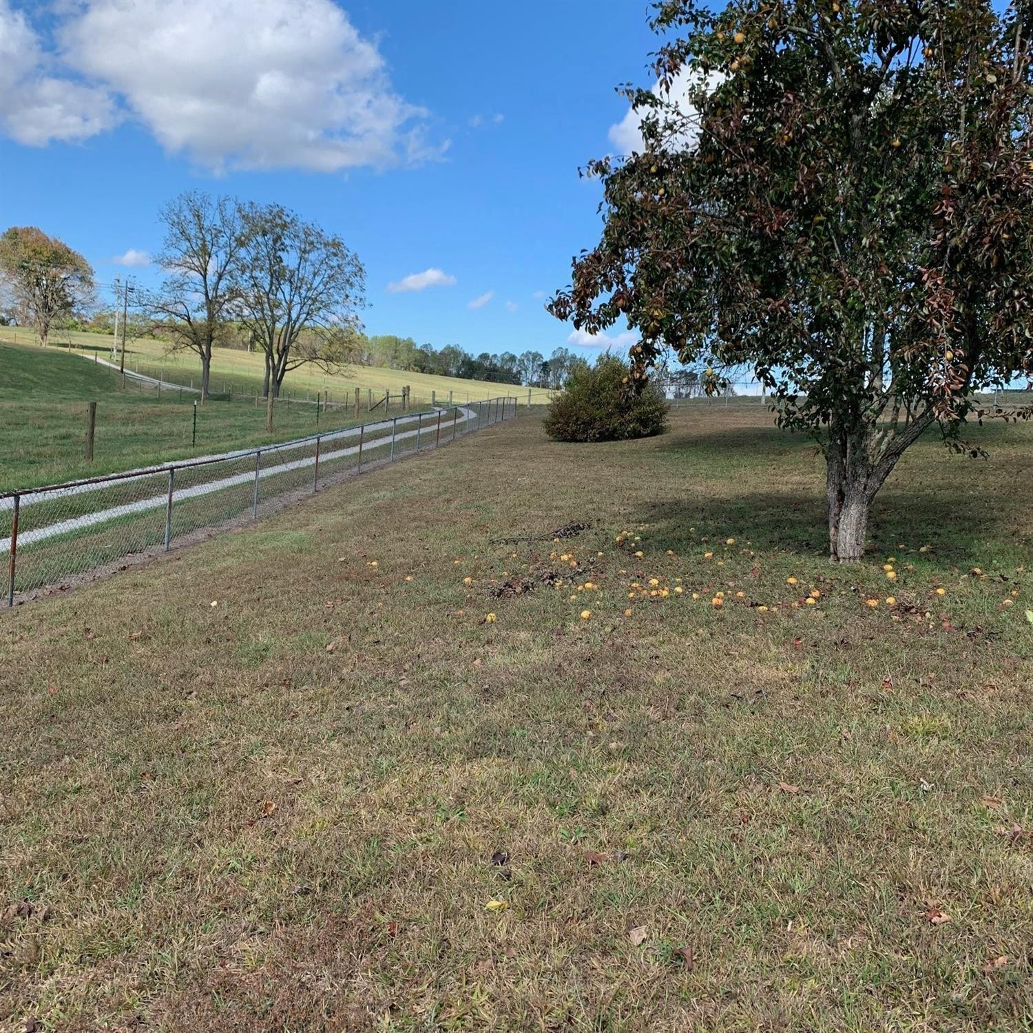 5534 Brindle Ridge Road Brodhead, KY 40409 - Photo 23 of 24 Photo 23