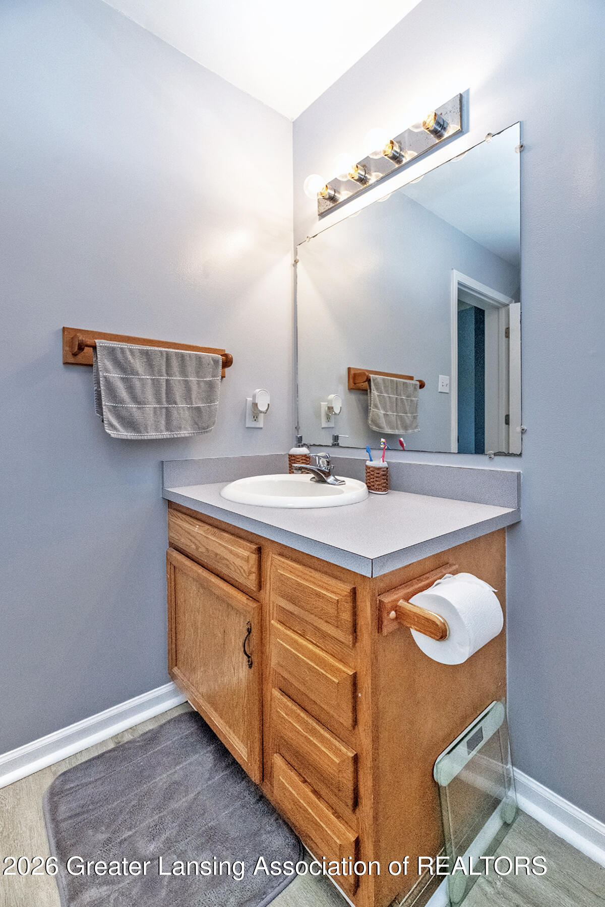 606 Locust Street Dewitt, MI 48820 - Photo 12 of 22 12