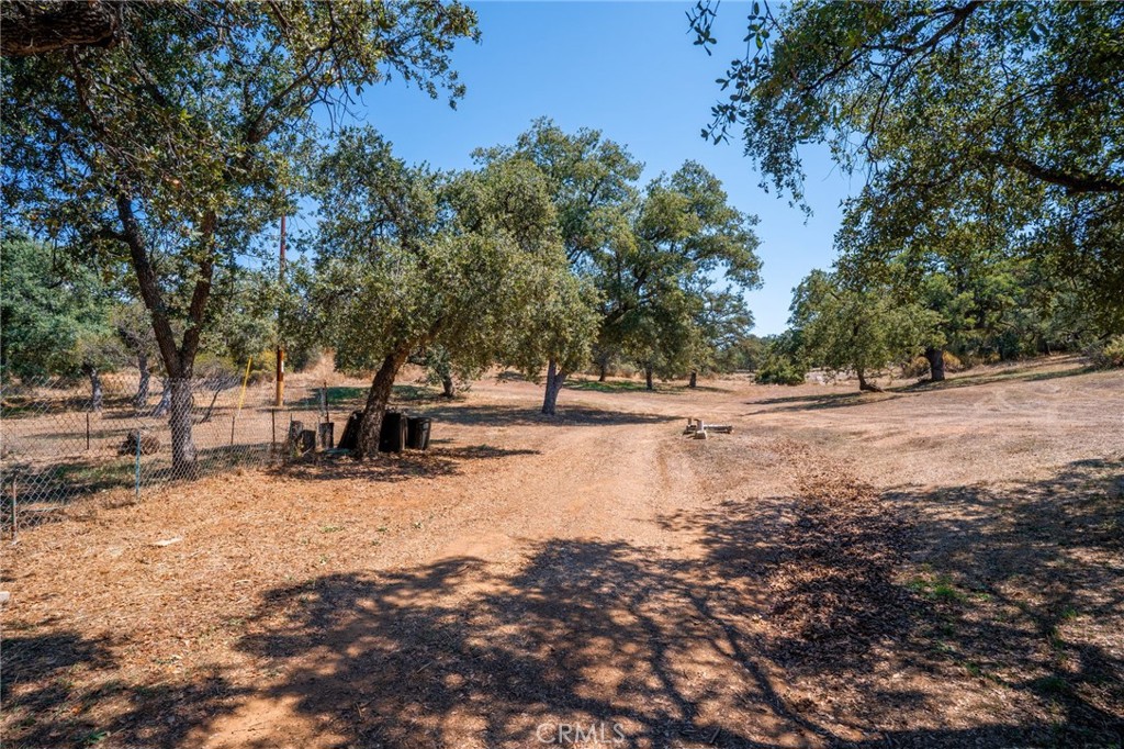 17939 Lyons Valley Road Jamul, CA 91935 - Photo 1 of 35 a view of road with trees