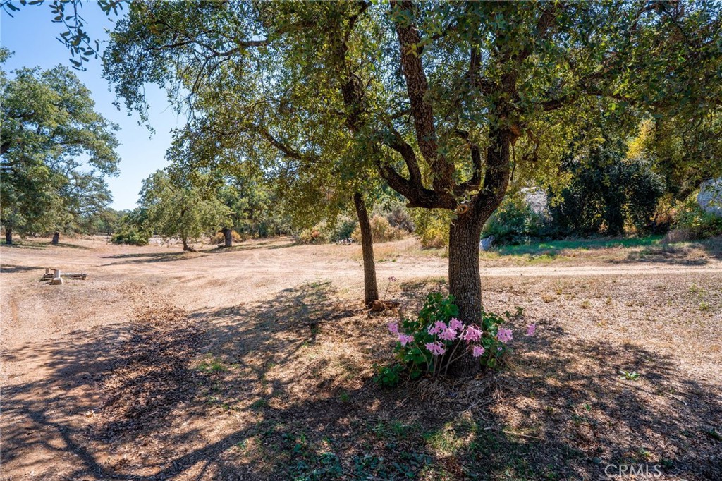 17939 Lyons Valley Road Jamul, CA 91935 - Photo 3 of 35