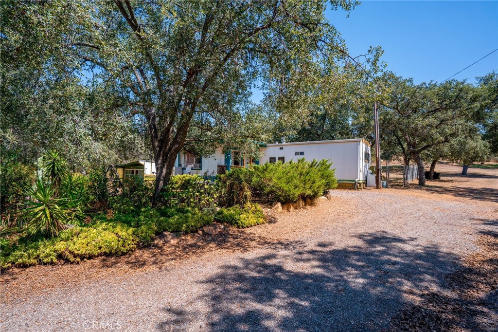 17939 Lyons Valley Road Jamul, CA 91935 - Photo 5 of 35 a street view with large trees