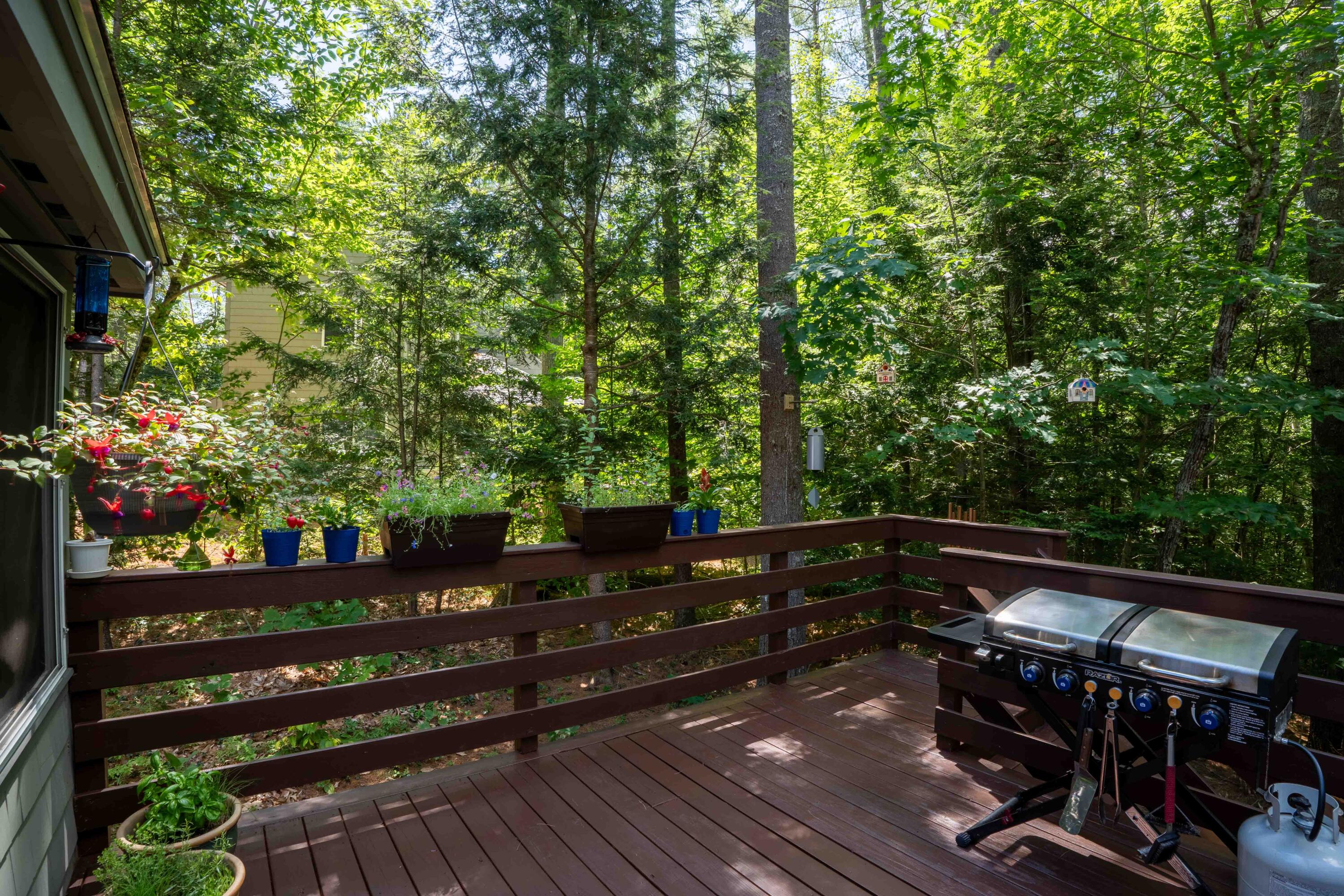 65 Nearledge Road, Unit 14 Conway, NH 03860 - Photo 18 of 29 018