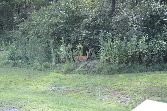 $1,800 | 132 Springfield Road, Statesville, NC 28625