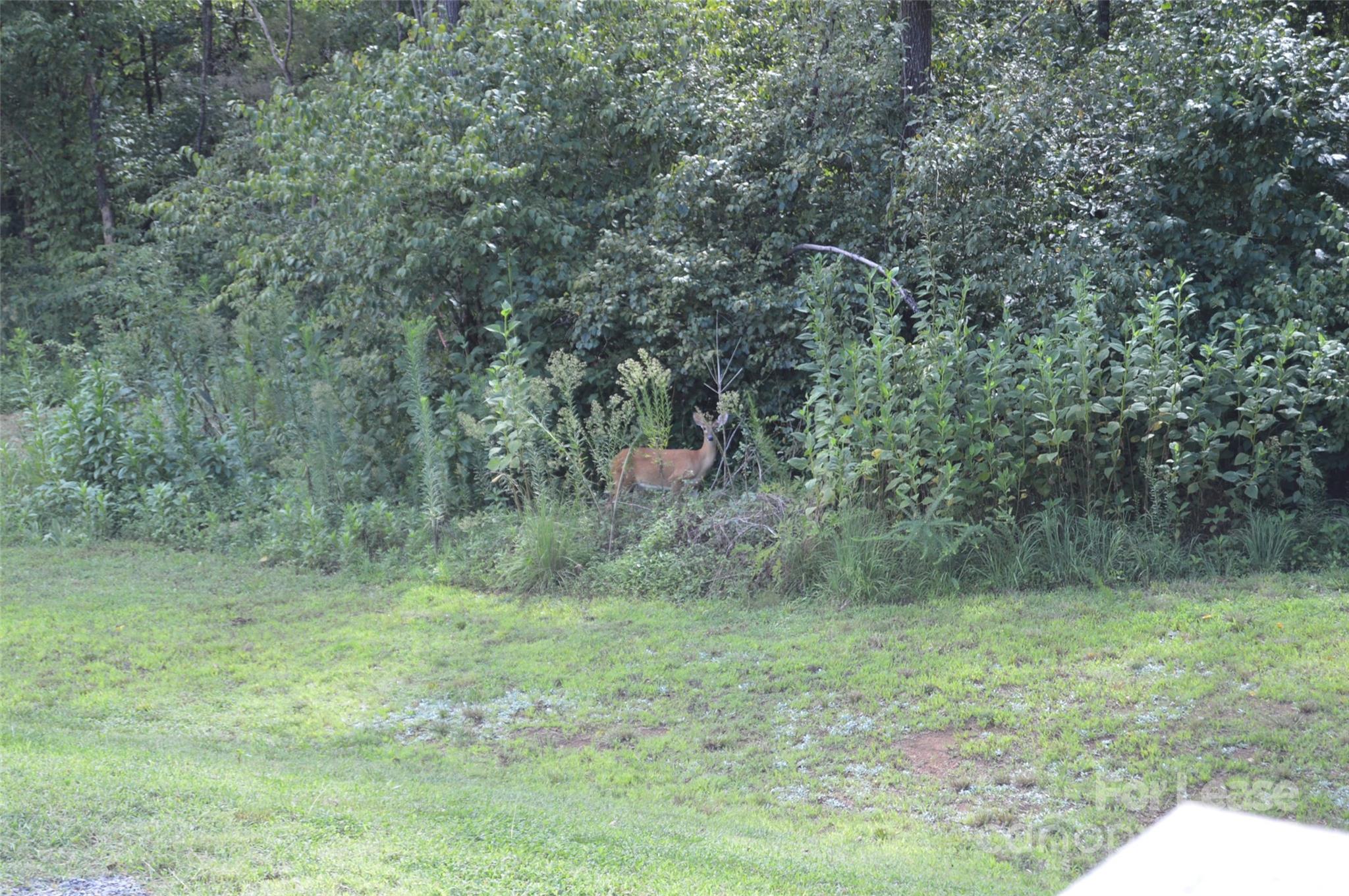 132 Springfield Road Statesville, NC 28625 - Photo 16 of 16