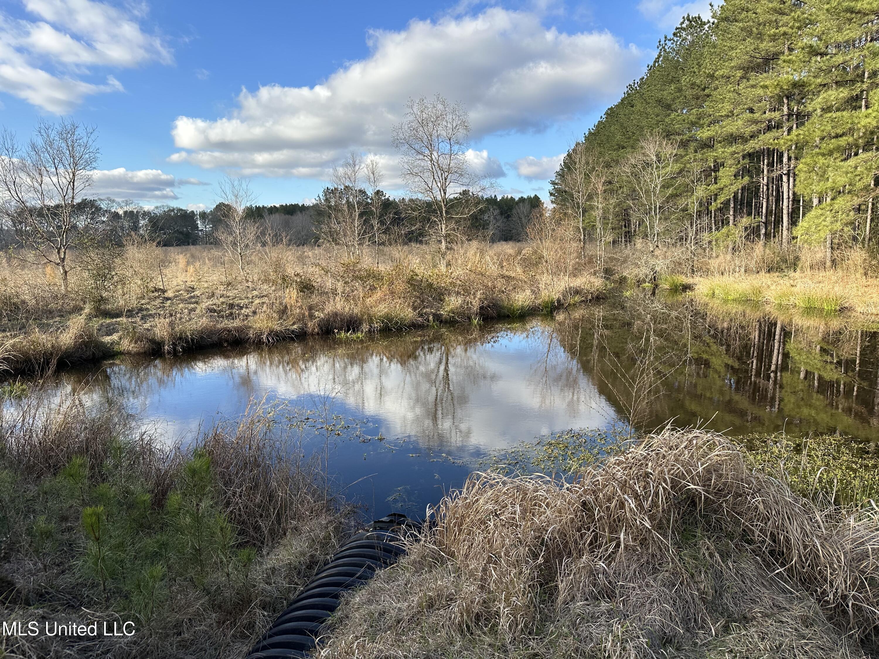 John Amacker Road Poplarville, MS 39470 - Photo 3 of 16 IMG_1154