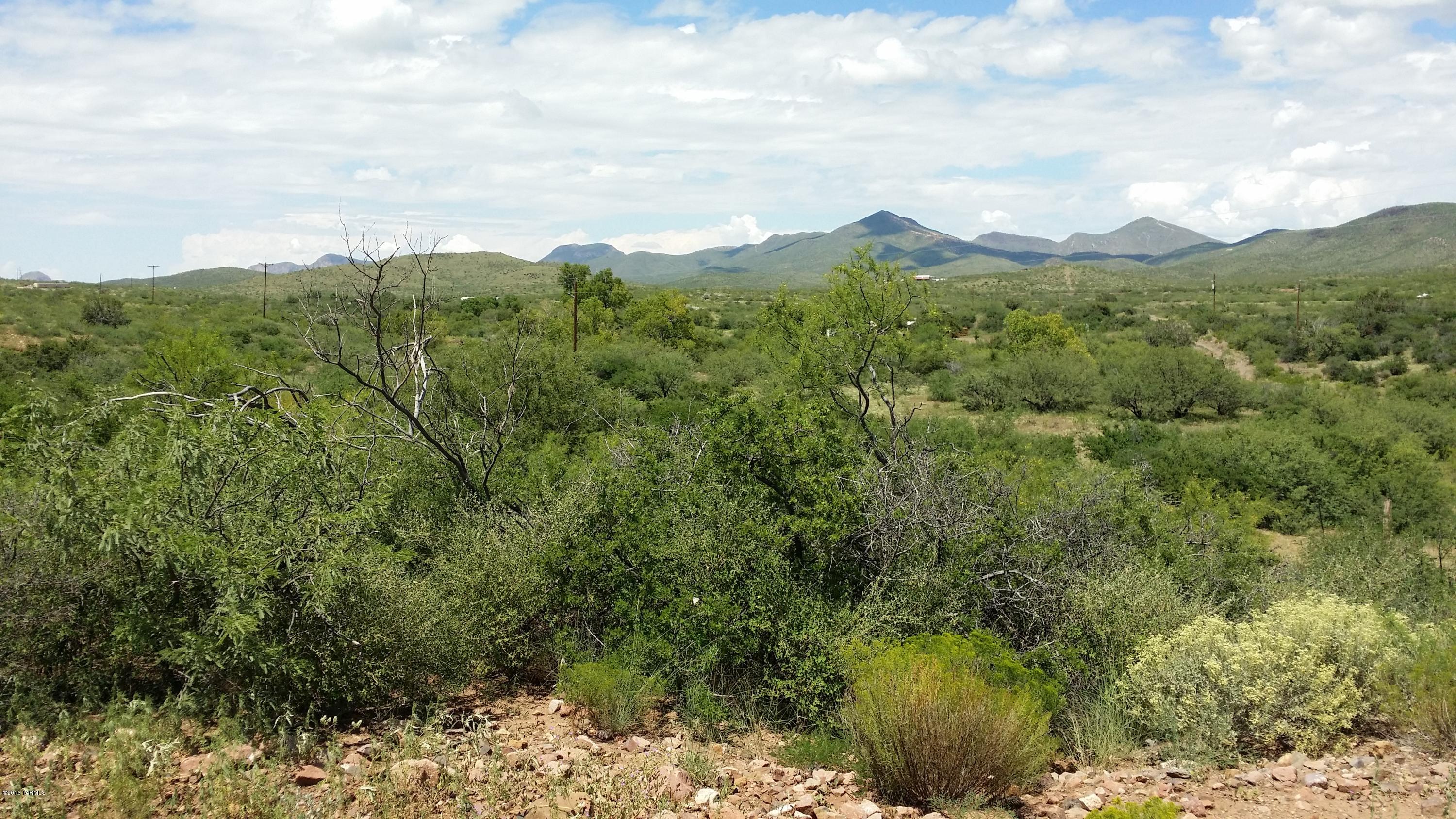 27.084-ac North Silver Creek Road Douglas, AZ 85607 - Photo 4 of 21
