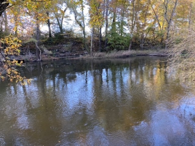853 Cortner Road Normandy, TN 37360 - Photo 23 of 51 a view of a lake with a yard