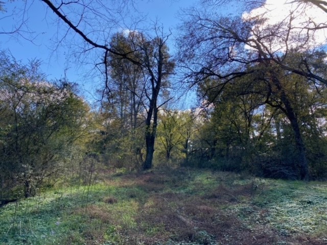 853 Cortner Road Normandy, TN 37360 - Photo 27 of 51 a view of a forest with trees in the background