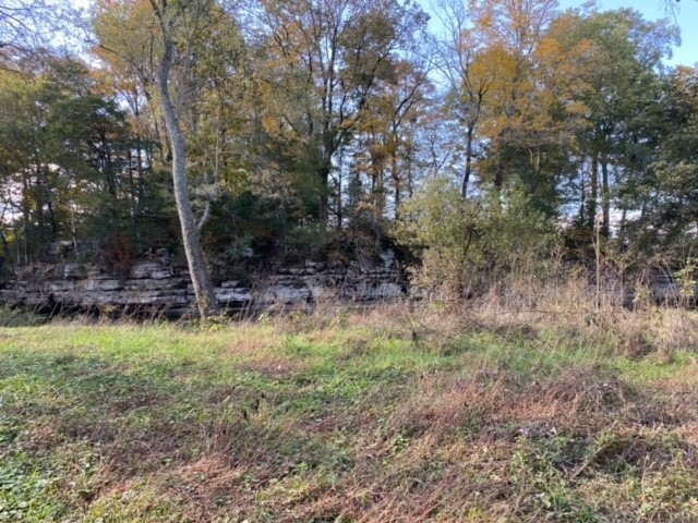 853 Cortner Road Normandy, TN 37360 - Photo 29 of 51 a view of a yard with a tree