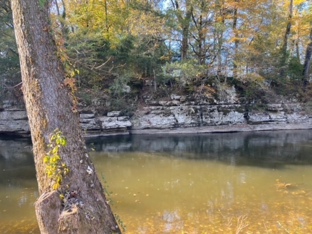 853 Cortner Road Normandy, TN 37360 - Photo 31 of 51 a view of a lake with outdoor space