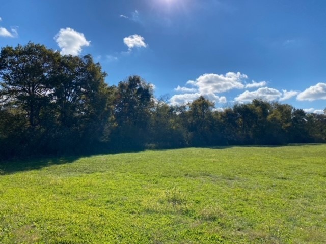 853 Cortner Road Normandy, TN 37360 - Photo 6 of 51