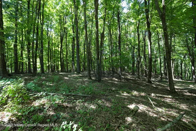 a view of outdoor space and green space