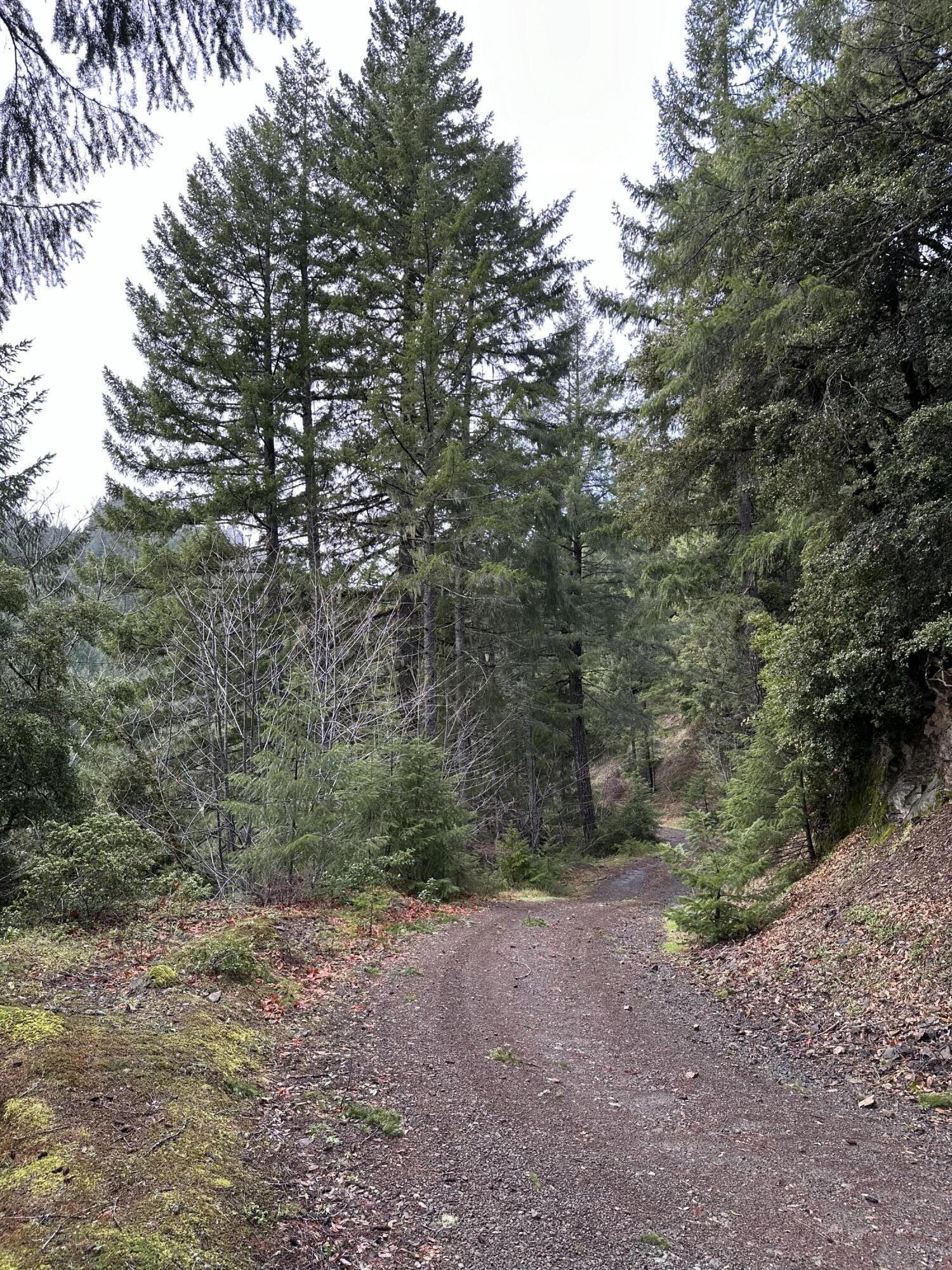 4 Hwy 299 Road Blue Lake, CA 95525 - Photo 3 of 4 IMG_4809