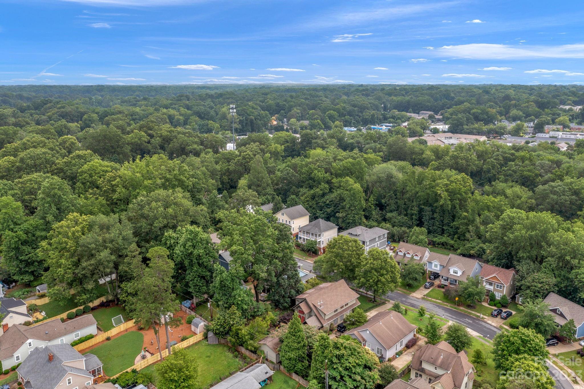 1320 Ivey Drive Charlotte, NC 28205 - Photo 44 of 45