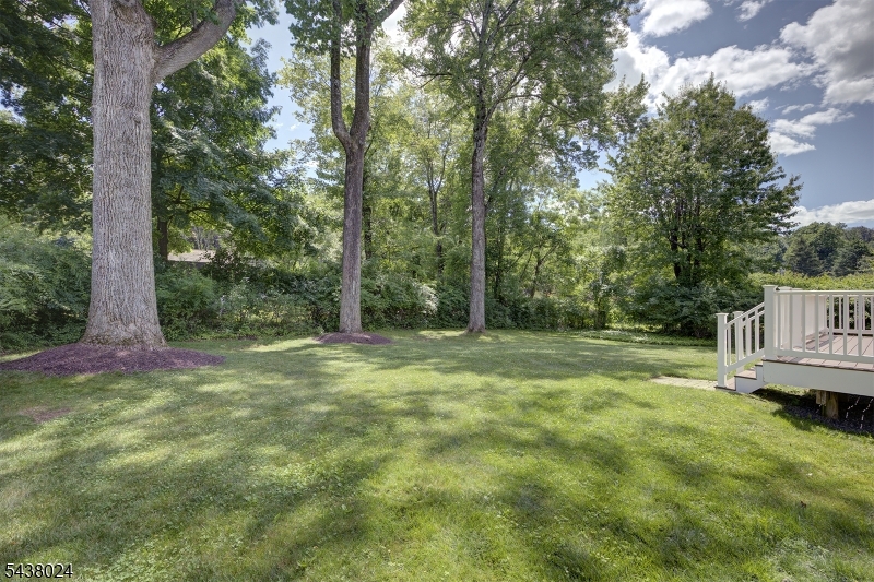 8 Phyllis Place Randolph, NJ 07869 - Photo 19 of 19