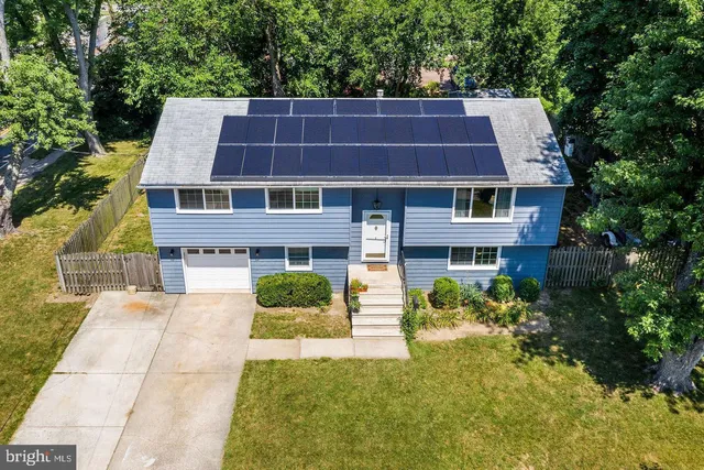 a aerial view of a house with a yard plants and large tree