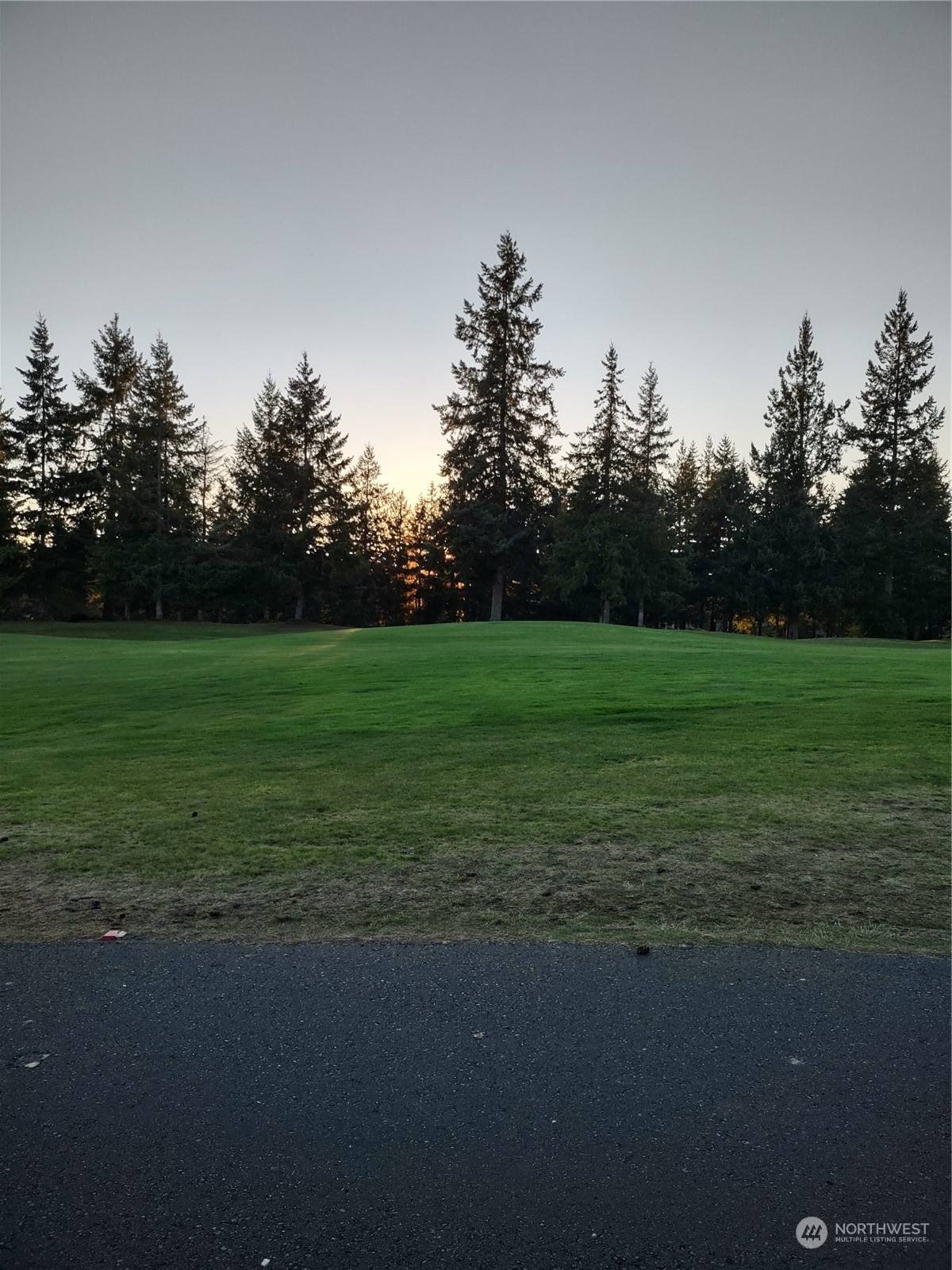 160 East Soderberg Road, Unit G19 Allyn, WA 98524 - Photo 35 of 38 a view of a field of grass and trees