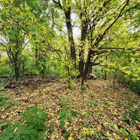 $72,900 | 2005 East 122nd Street, Unit A14, Burnsville, MN 55337