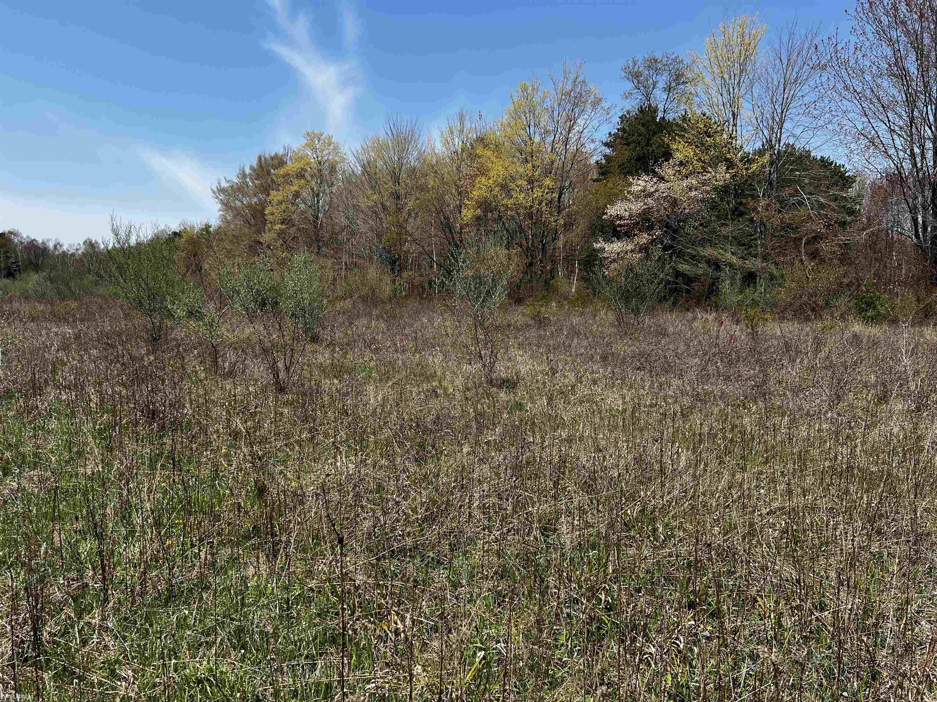 0 Lakeshore Road Lexington, MI 48450 - Photo 3 of 4