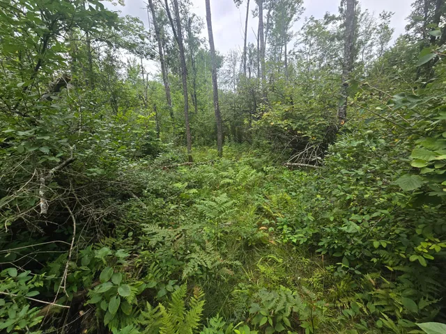 $129,999 | 8771 Deer Lane, Ojibwa, WI 54862