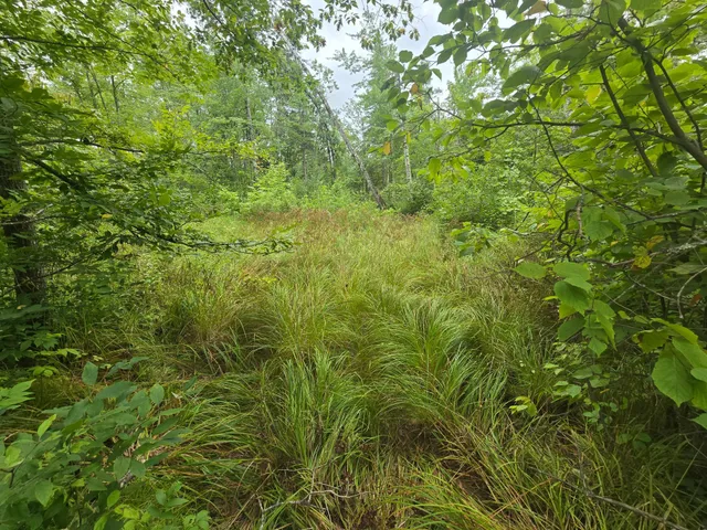 $129,999 | 8771 Deer Lane, Ojibwa, WI 54862