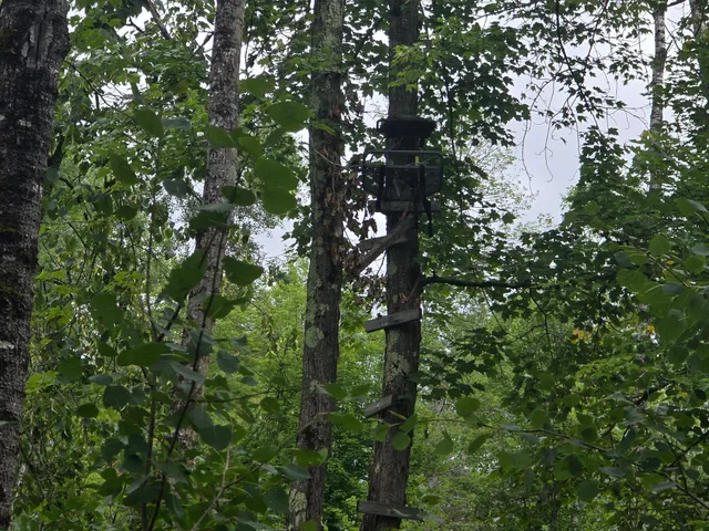 $129,999 | 8771 Deer Lane, Ojibwa, WI 54862