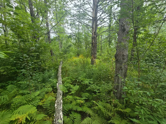 $129,999 | 8771 Deer Lane, Ojibwa, WI 54862