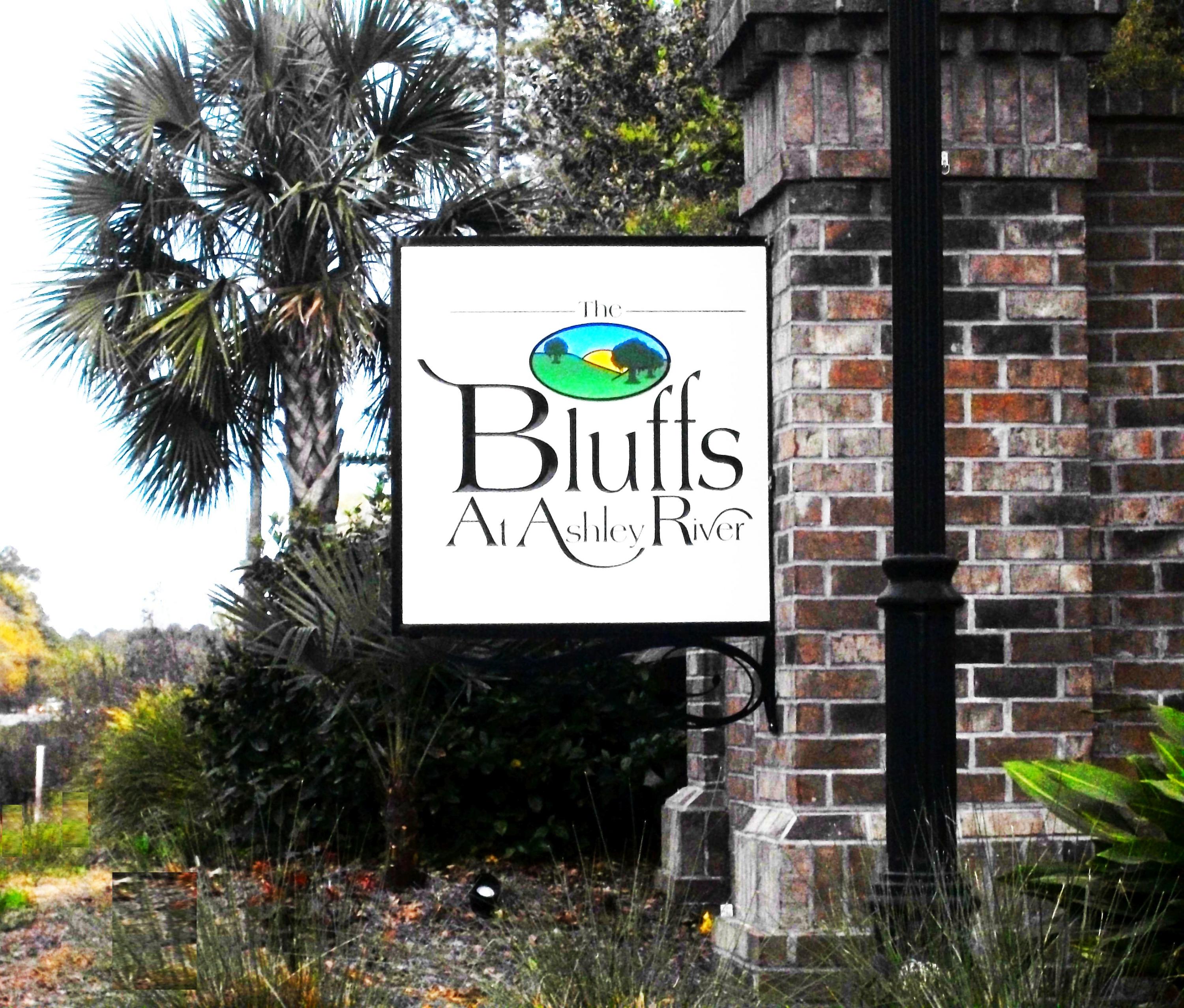 116 Ashley Bluffs Road Summerville, SC 29485 - Photo 3 of 64 The Bluffs at Ahley River