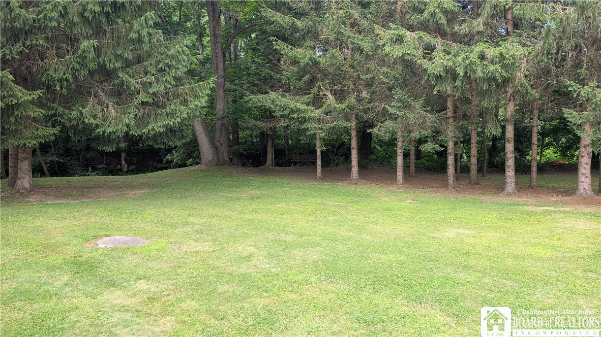 9231 Spoden Road Pomfret, NY 14063 - Photo 39 of 44
