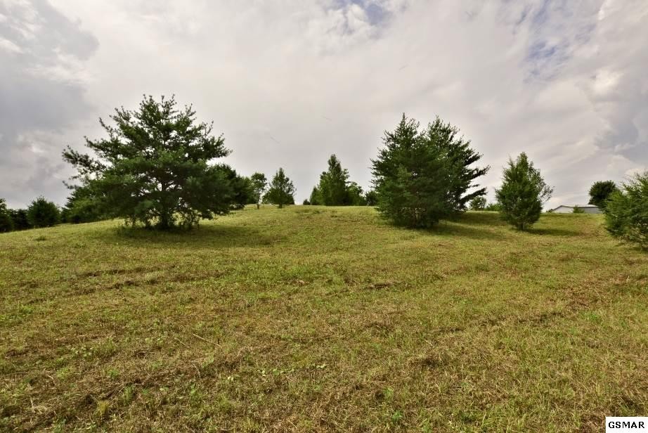 1819 Edwina Bridgeport Road Newport, TN 37821 - Photo 4 of 15 Gallery Image 4