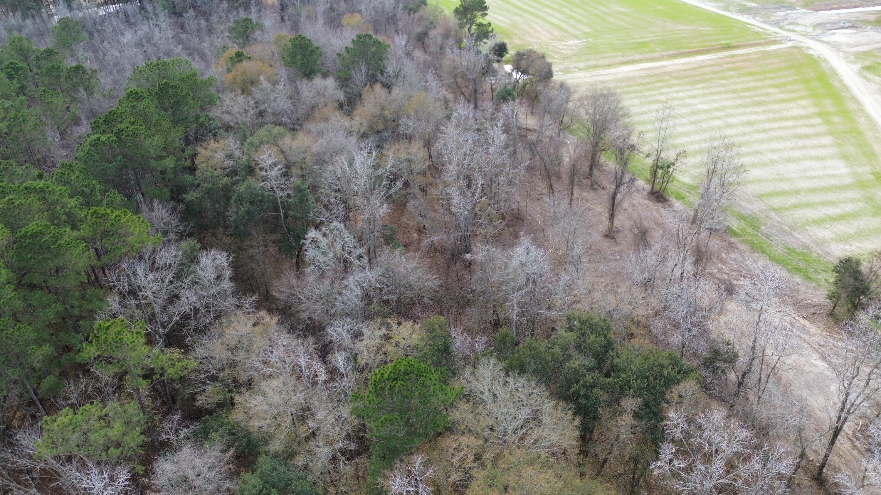 1 Highway 52 St. Stephen, SC 29479 - Photo 11 of 15 DJI_0446