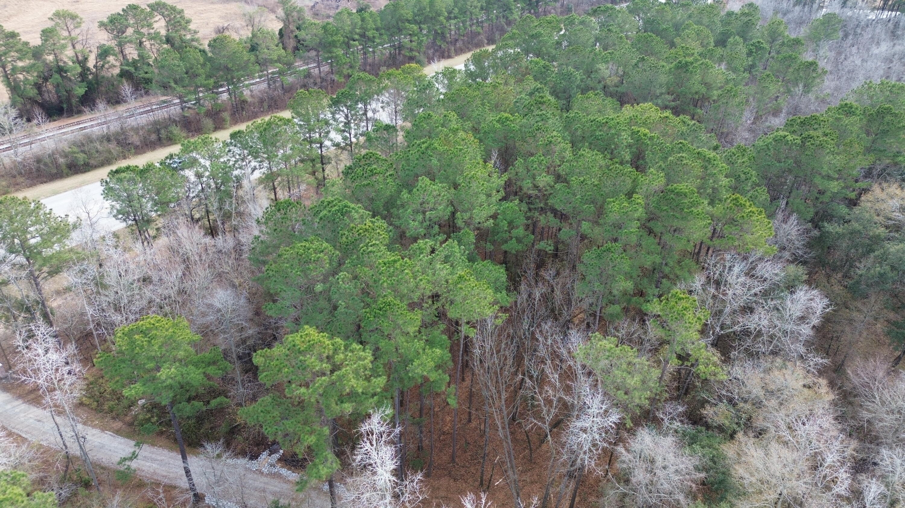 1 Highway 52 St. Stephen, SC 29479 - Photo 13 of 15 DJI_0445