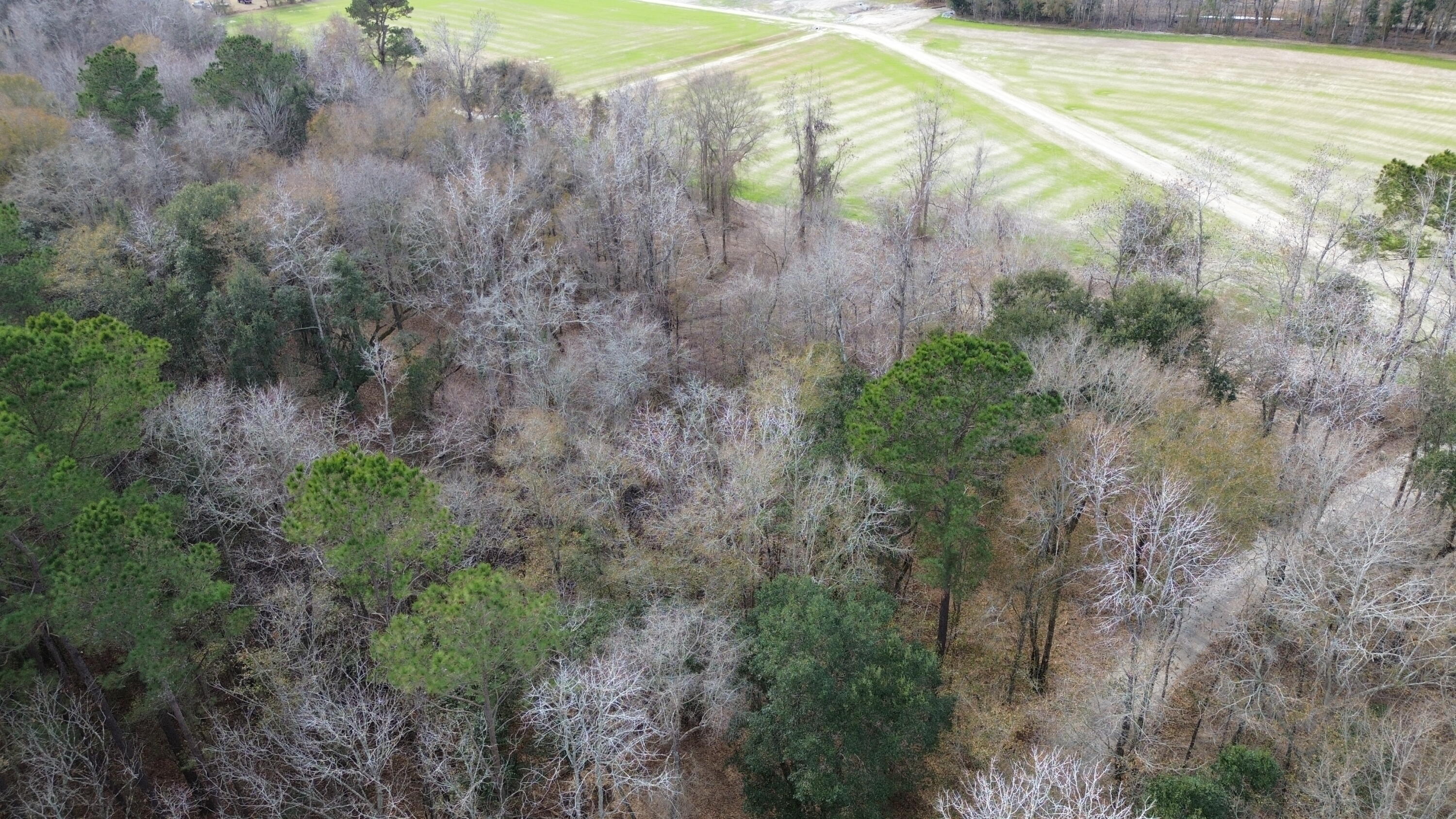 1 Highway 52 St. Stephen, SC 29479 - Photo 10 of 15 DJI_0443