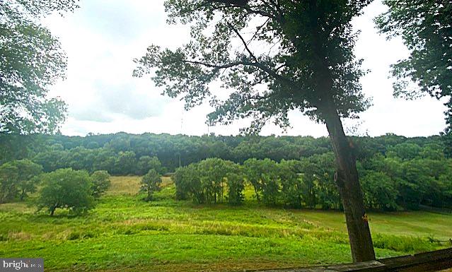 Scenic vista from the rear deck